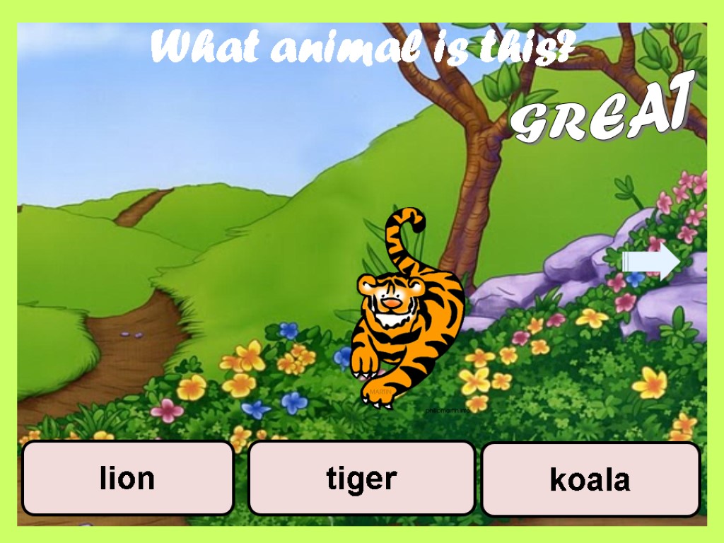 What animal is this? koala tiger lion GREAT